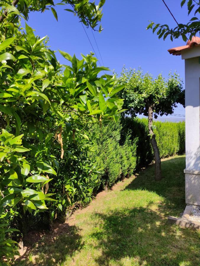Casas Do Paco - Casas De Ferias Кабесейраш-ді-Башту Екстер'єр фото