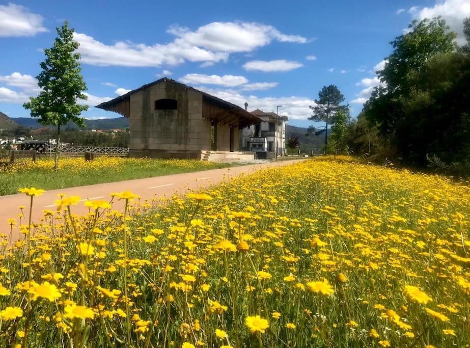 Casas Do Paco - Casas De Ferias Кабесейраш-ді-Башту Екстер'єр фото